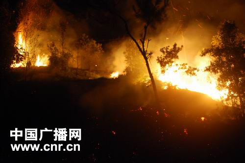 大火席卷森林后，北爱尔兰的消防队员正在清扫