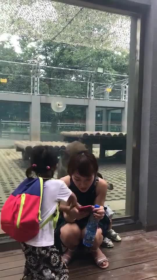 鳄鱼把爸爸拖到河里后杀死了他，朋友们奋力营救他