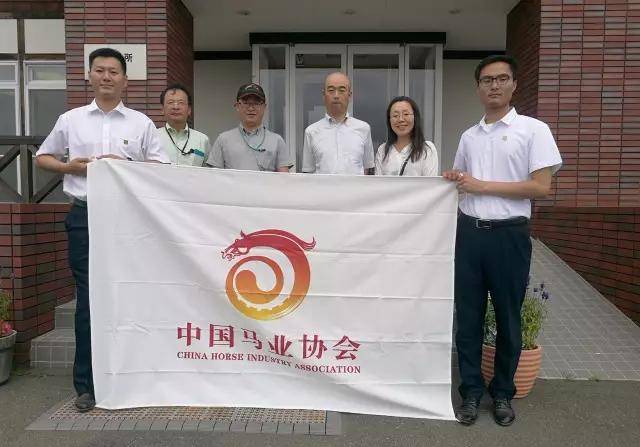 2025年全国赛马：百老汇男孩在戏剧性的比赛中可怕地摔倒